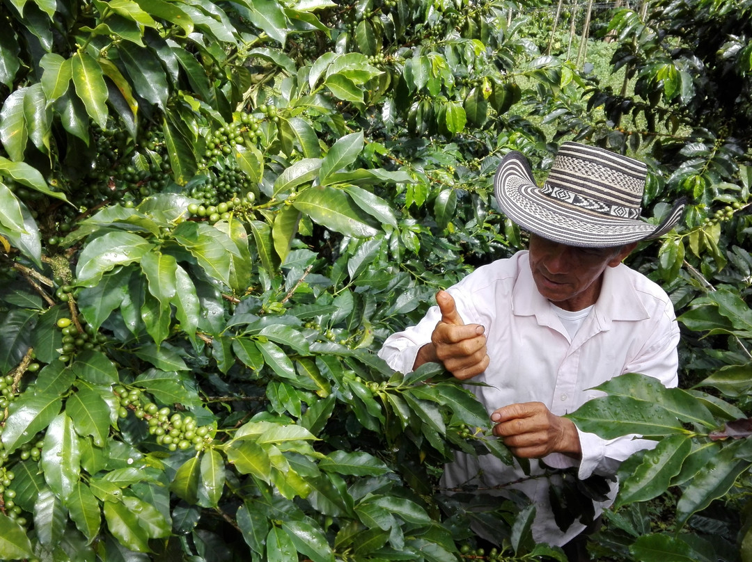 L'Échappée Colombie-麦德林必去景点
