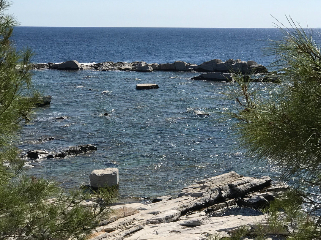 Finikes Studios主图