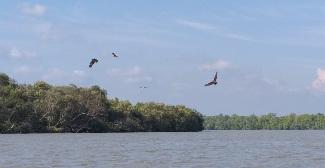 Kuala Selangor Historical Museum-瓜拉雪兰莪必去景点