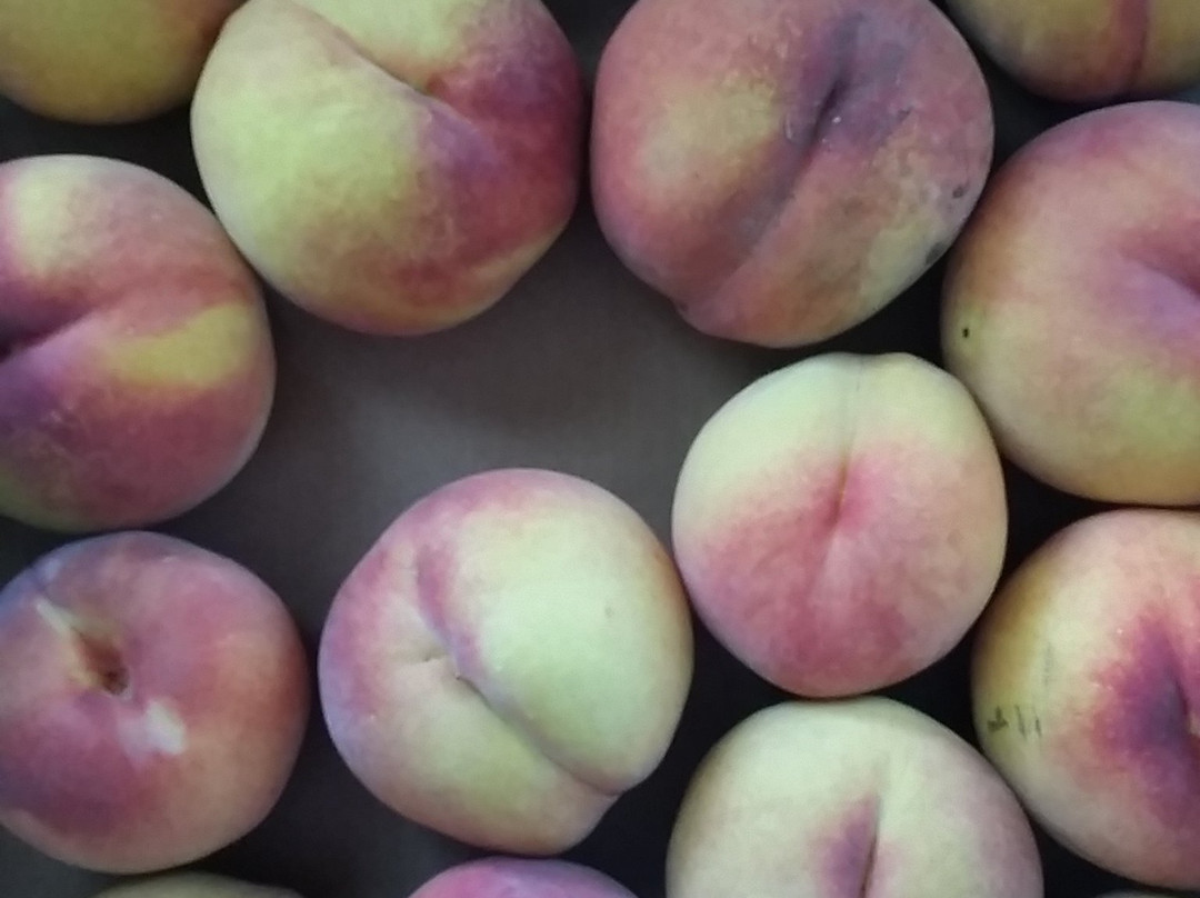 Hillside Orchards U-Pick and Farm-Oliver必去景点