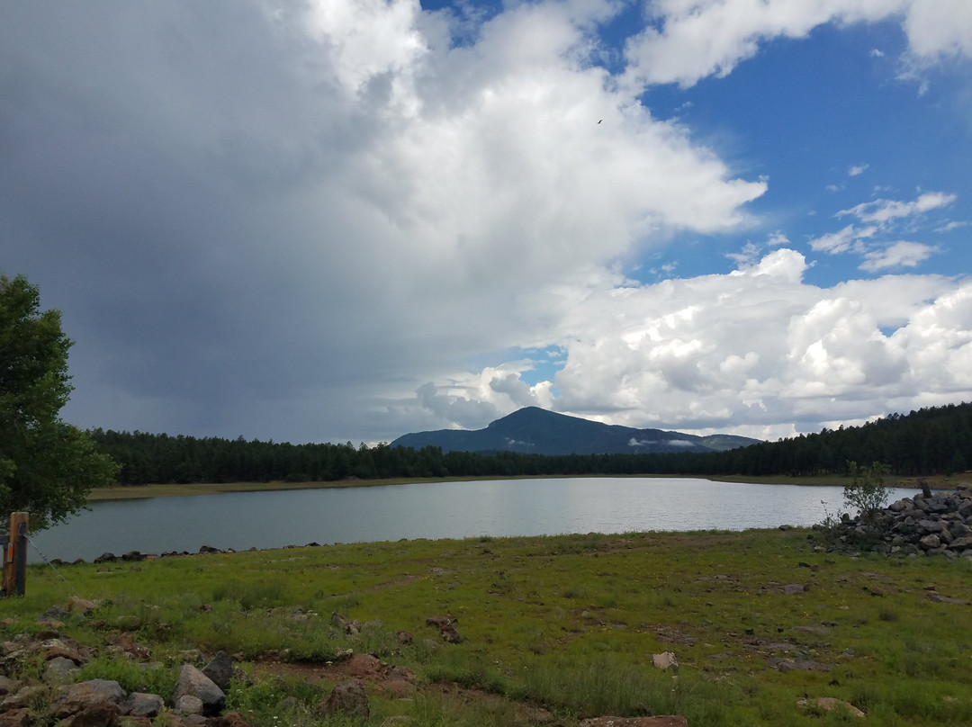 Bill Williams Mountain-威廉姆斯必去景点