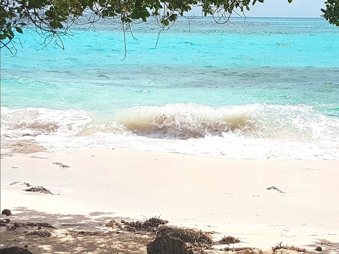 Great Guana Cay景点图片