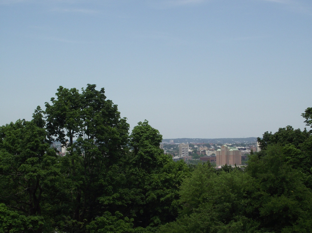 Corey Hill Park-布鲁克莱恩必去景点