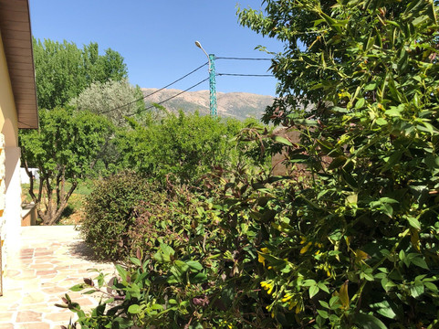 Kherbet Qanafar旅游攻略图片