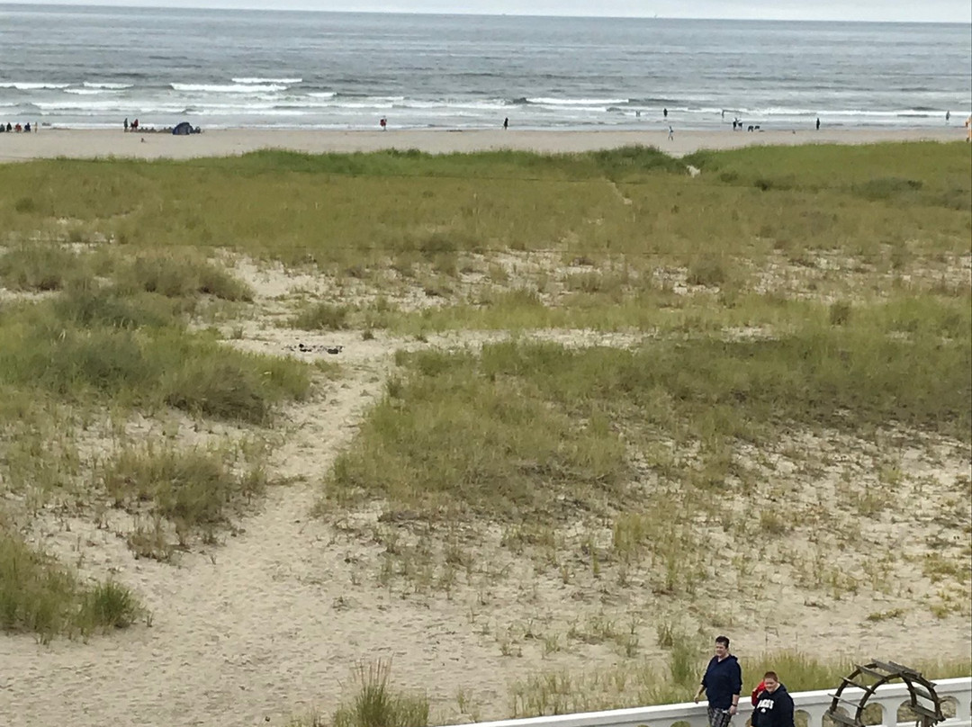 Ebb Tide Oceanfront Inn主图