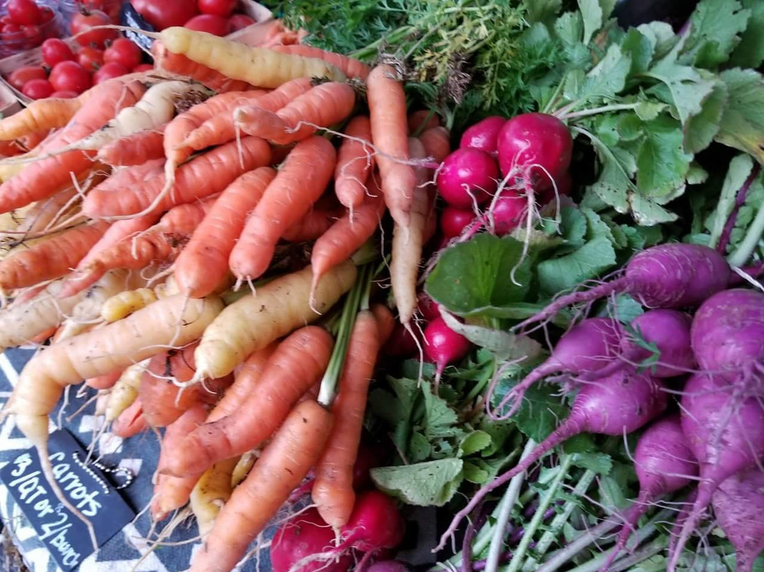 Hamburg Farmers' Market-Hamburg必去景点