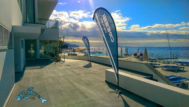 Sealife Scuba Diving