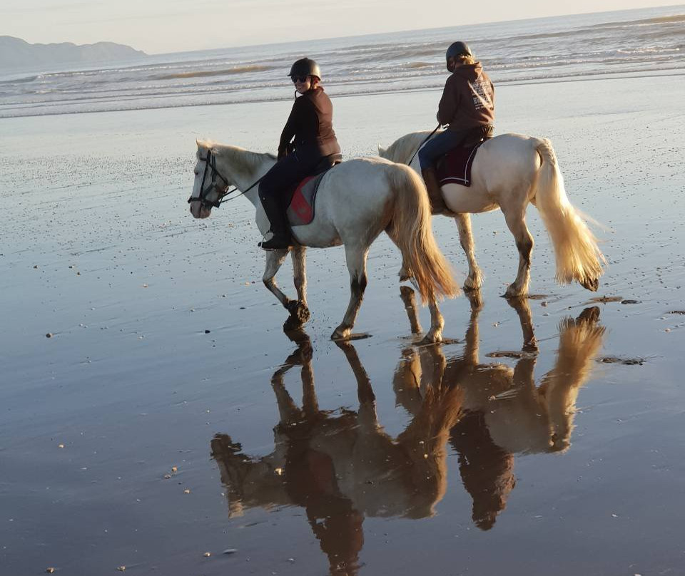 Beachbrook Riding Stables景点图片