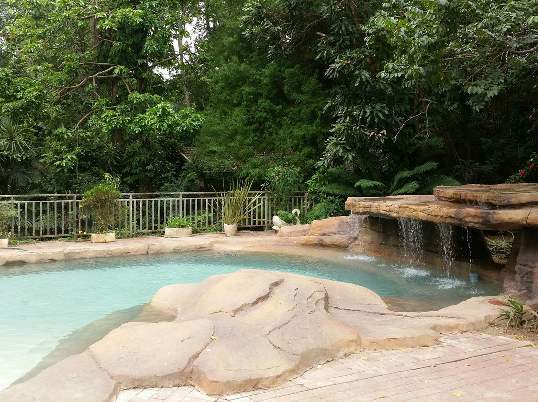 African Tree Lodge主图