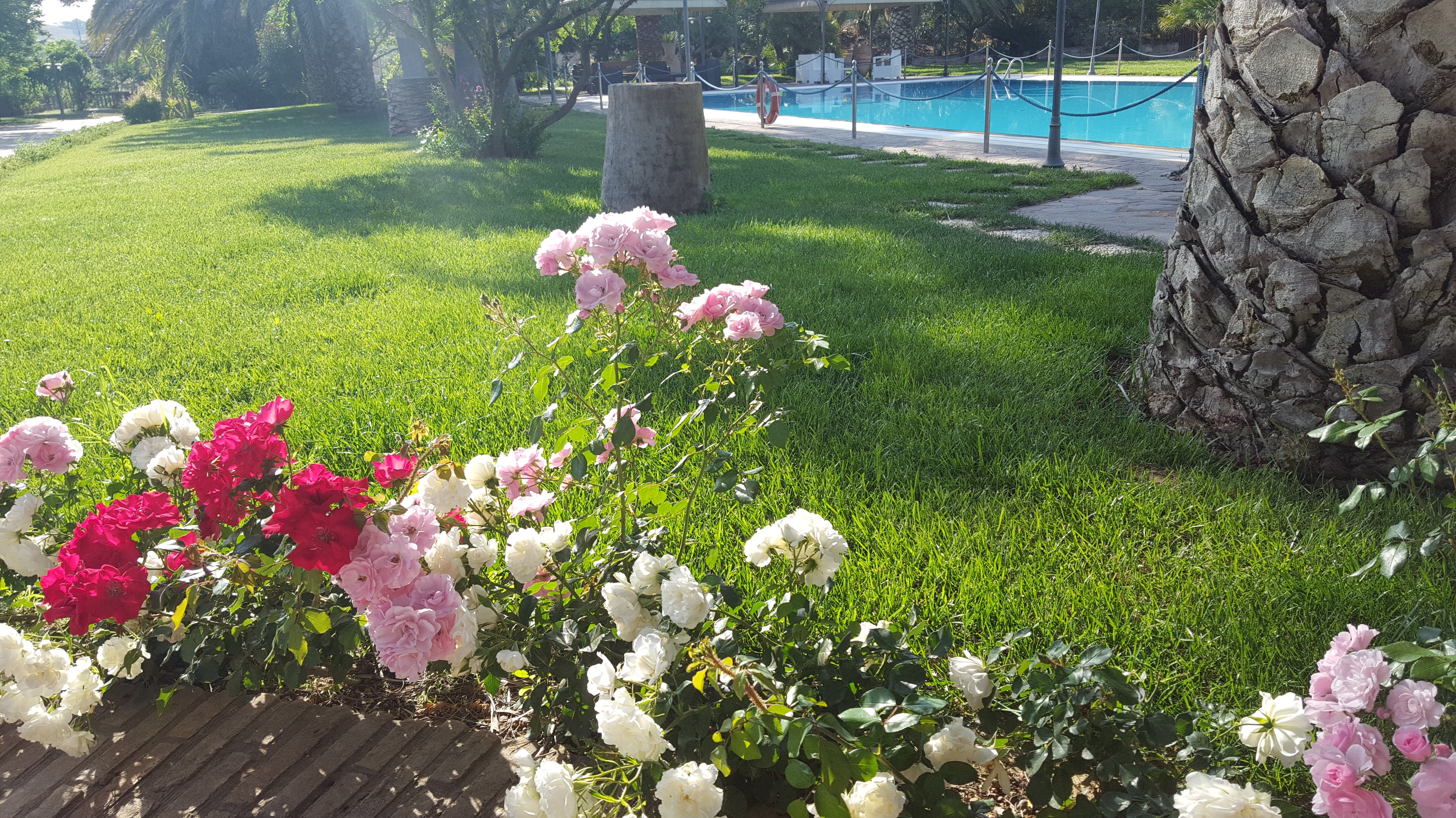 Agriturismo Il Drago-官方