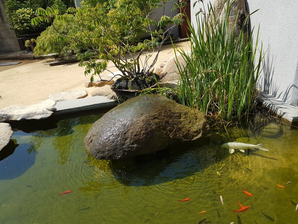 Museo Bonsai Luis Vallejo-阿尔科文达斯必去景点