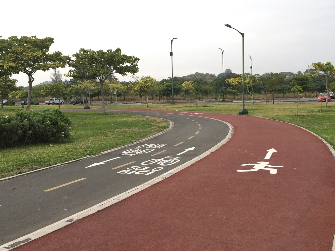 Parque Samanes景点图片