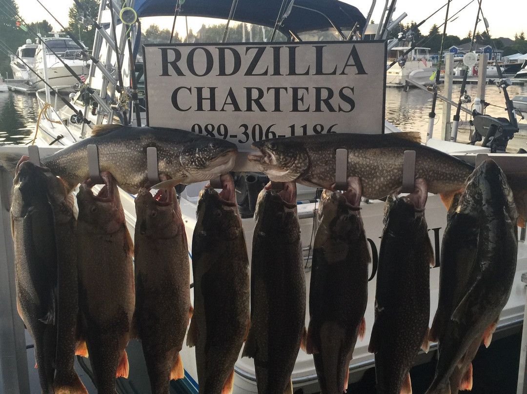Rodzilla Fishing Charters景点图片