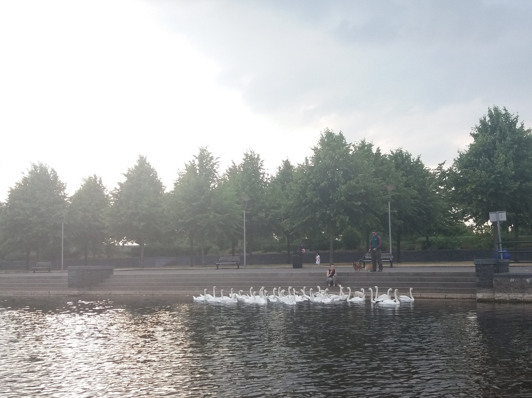 Carlow Town Park-Carlow必去景点