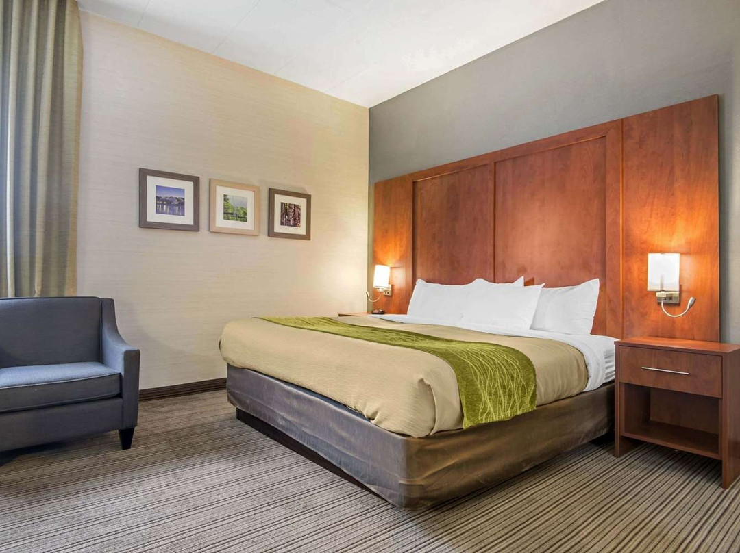 Comfort Inn & Suites Collingwood主图