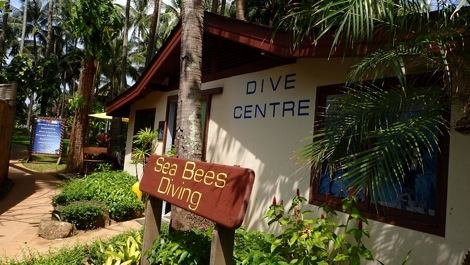 Sea Bees Diving景点图片
