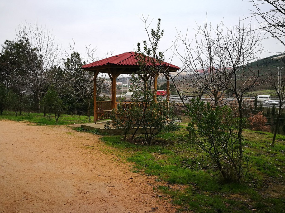 Gazilerdagi Tabiat Parki景点图片