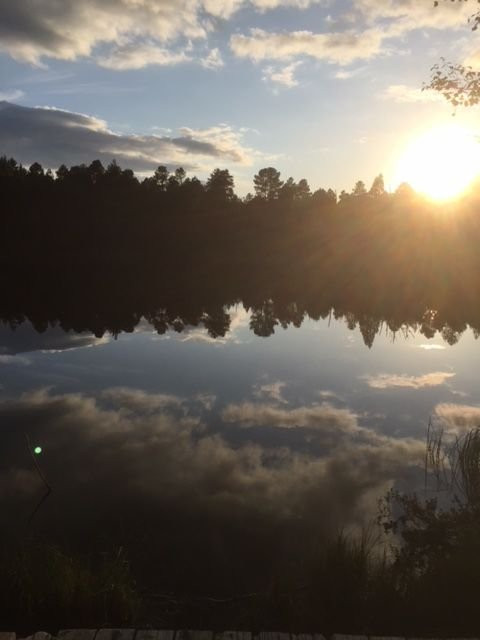 Hotel Adlerschanze主图