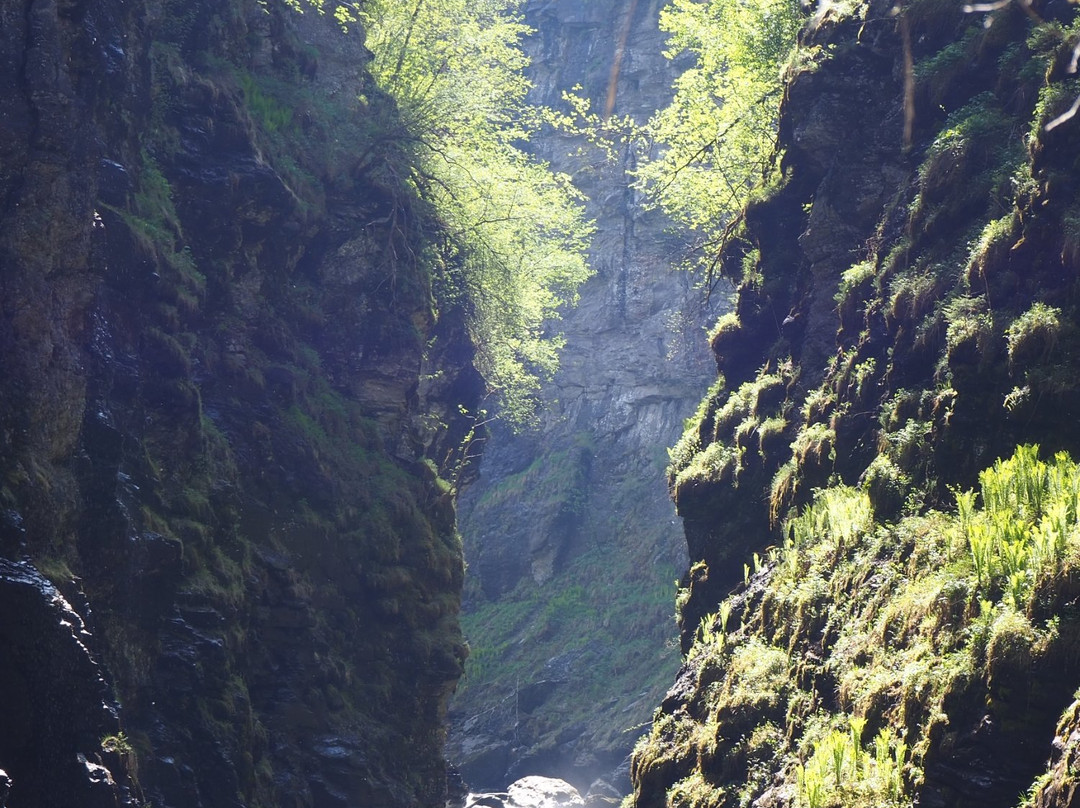 Bordalsgjelet Gorge景点图片