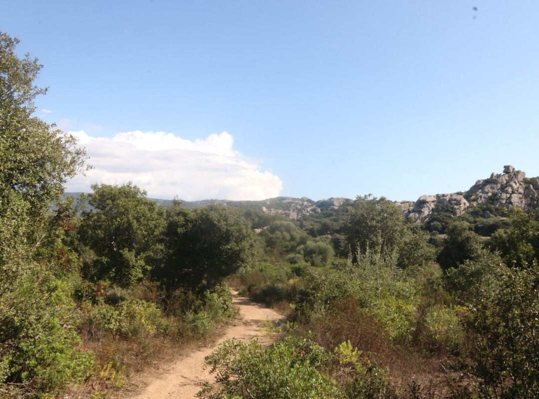 Plateau de Cauria景点图片