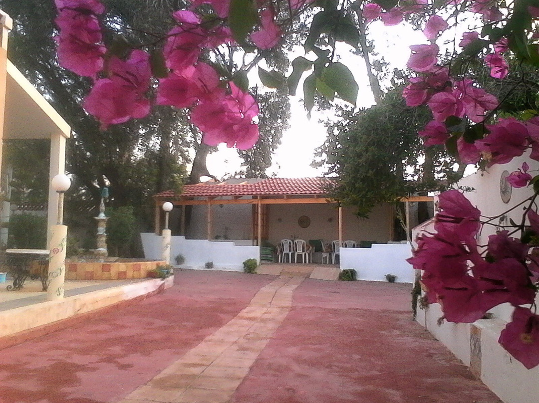 Dar Al Mansoura主图