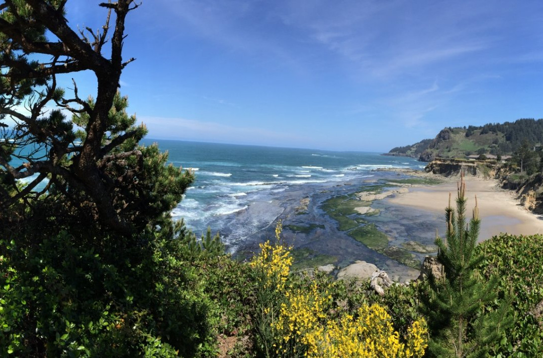 Flying Dutchman Winery-Otter Rock必去景点