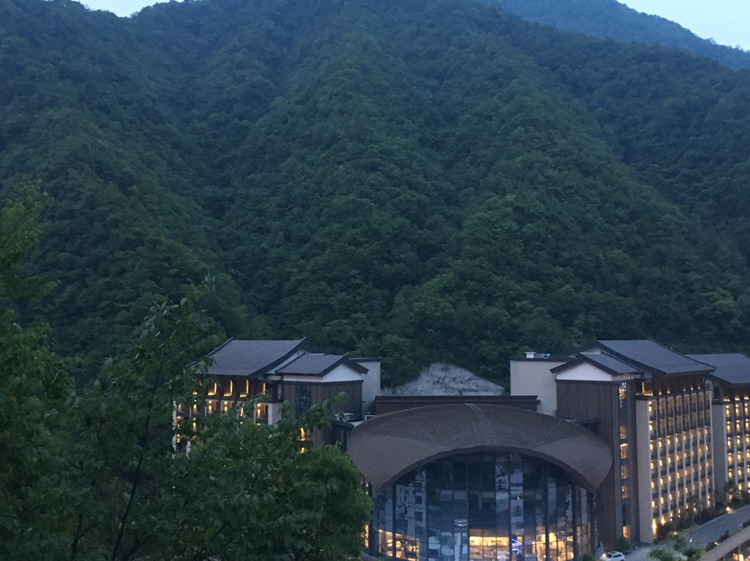 神农架康帝君兰酒店主图