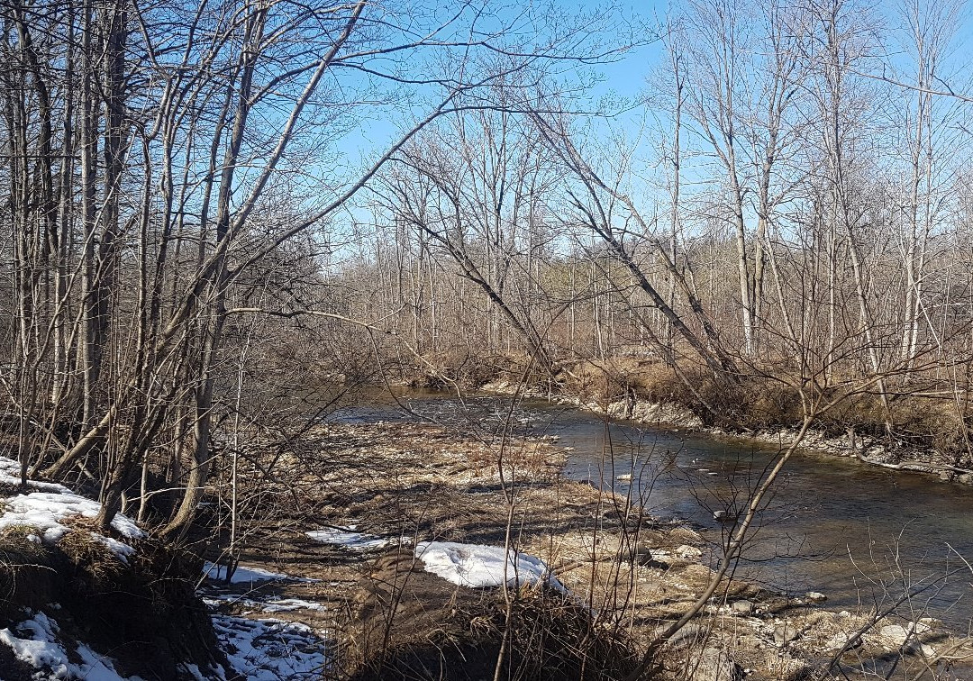 Medway Valley Heritage Forest-伦敦必去景点