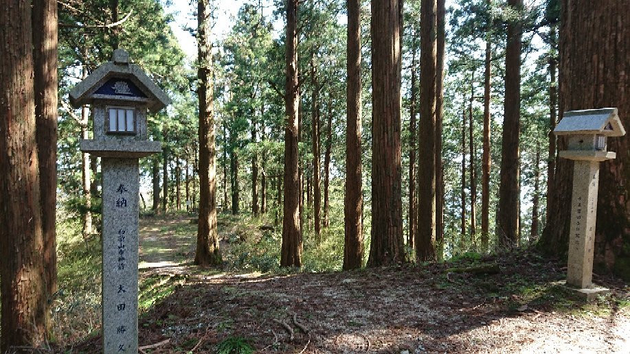 Yasashi Shrine景点图片