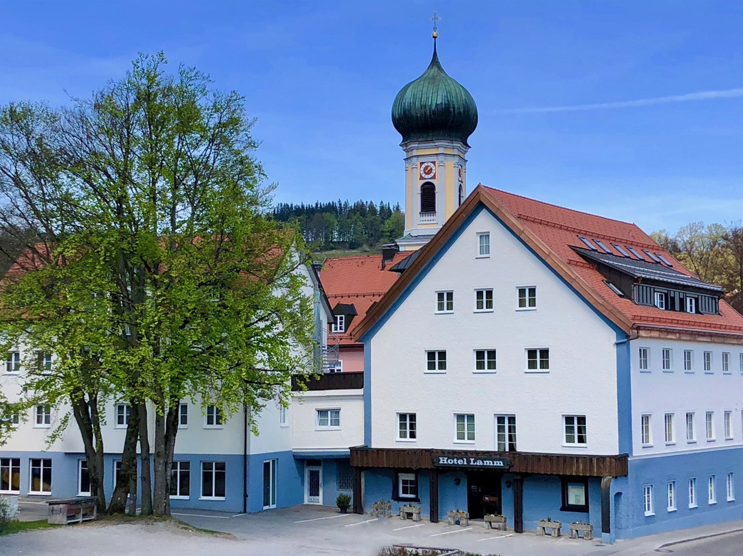 Immenstadt im Allgau酒店住宿-Hotel Lamm