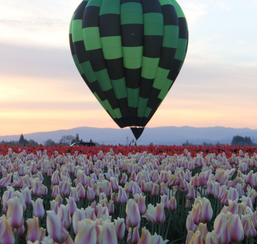 Willamette Valley Balloons-Donald必去景点