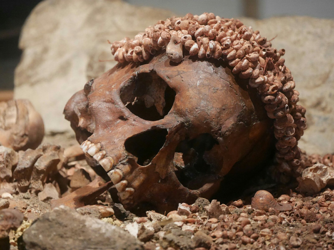 Pegli旅游景点-Museo di Archeologia