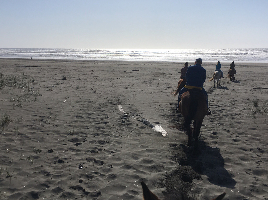 Back Country Horse Rides景点图片