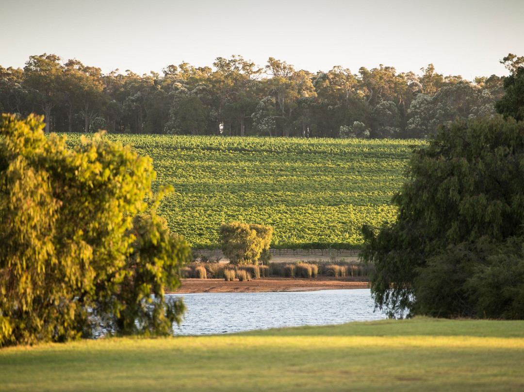 Sandalford Wines Margaret River景点图片