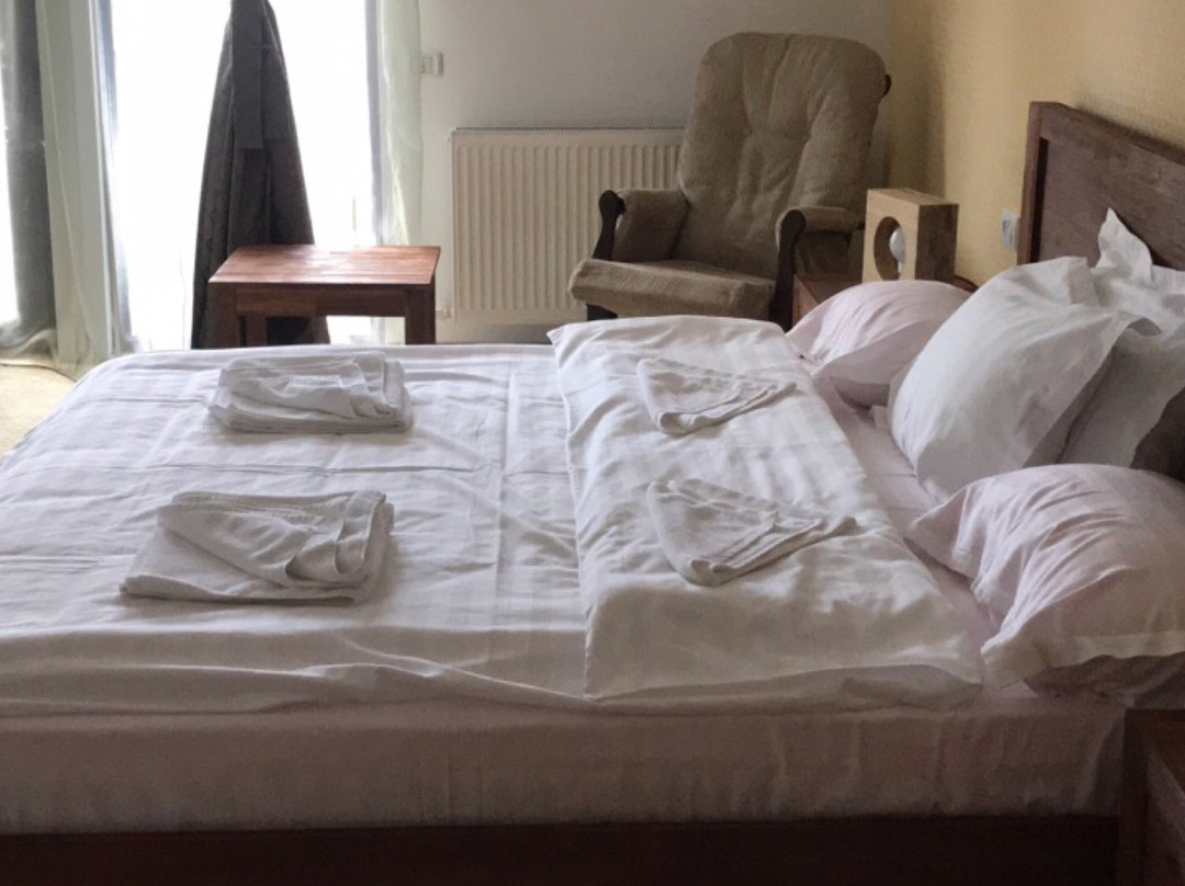 Traisteni旅游攻略图片