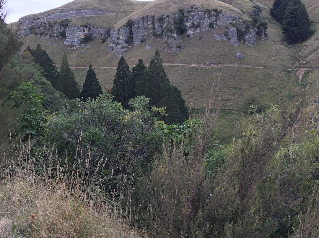 Te Mata Park景点图片