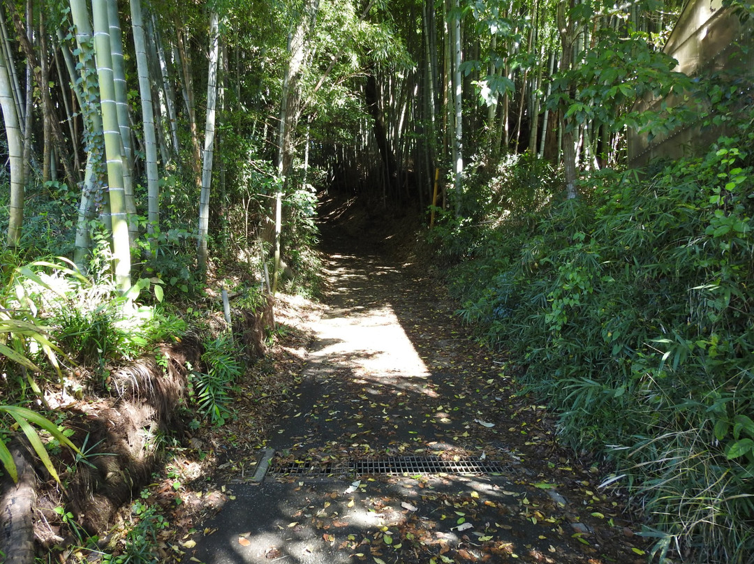 Takiyama Park, Takiyama Castle Remains景点图片