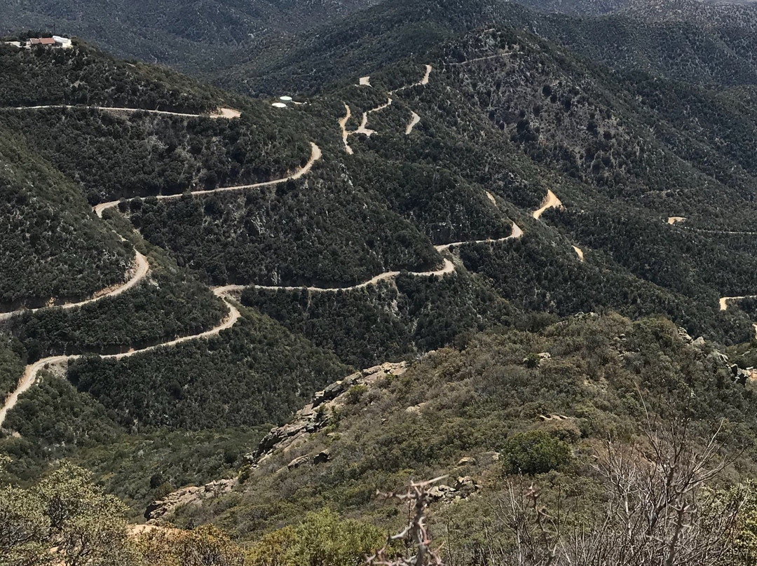 Fred Lawrence Whipple Observatory-Amado必去景点
