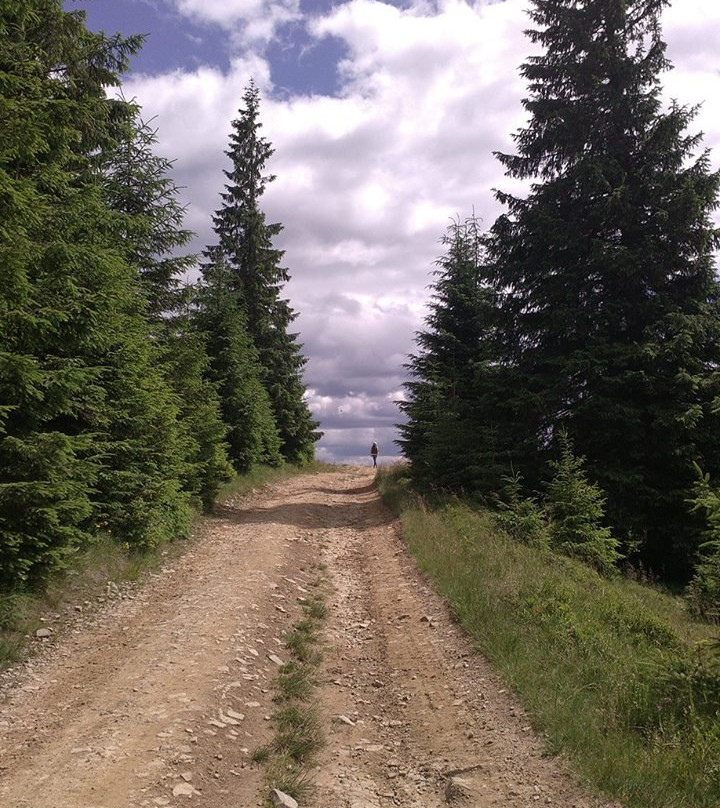 Yagodnaya Mountain景点图片