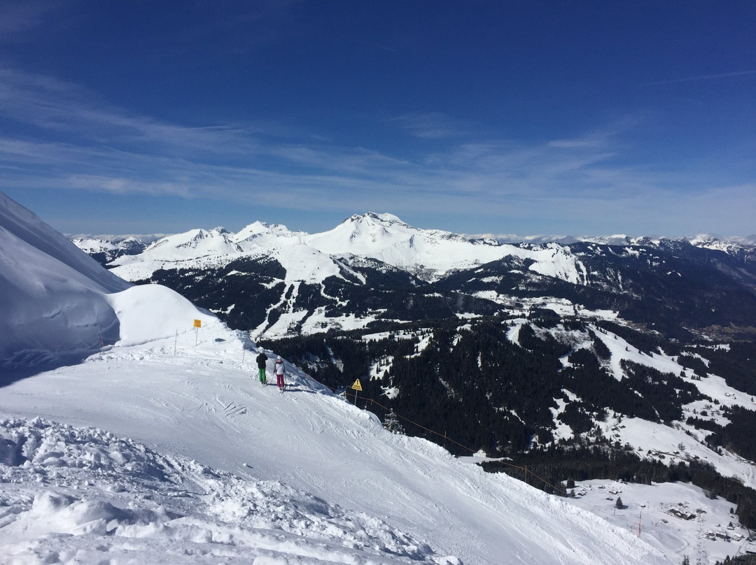 Stomped Snowboarding