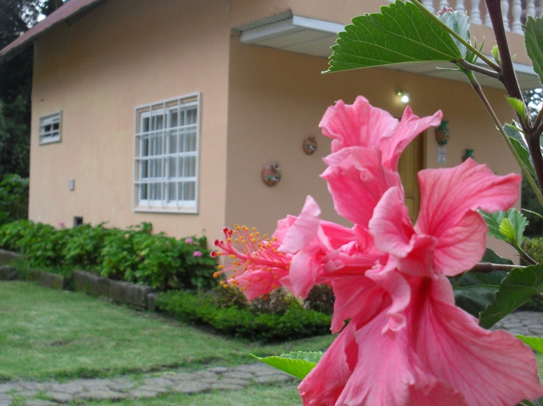 Las Orquideas Bed & Breakfast主图