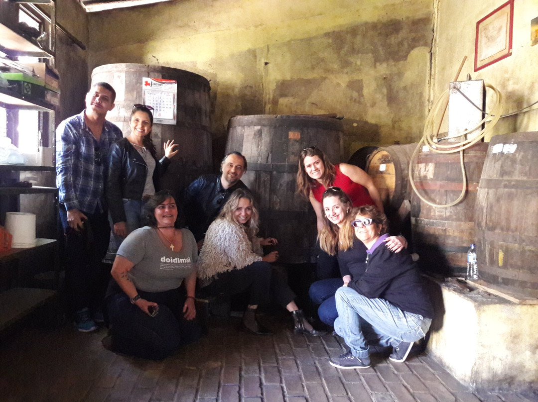 Experimente Minas-Brumadinho必去景点