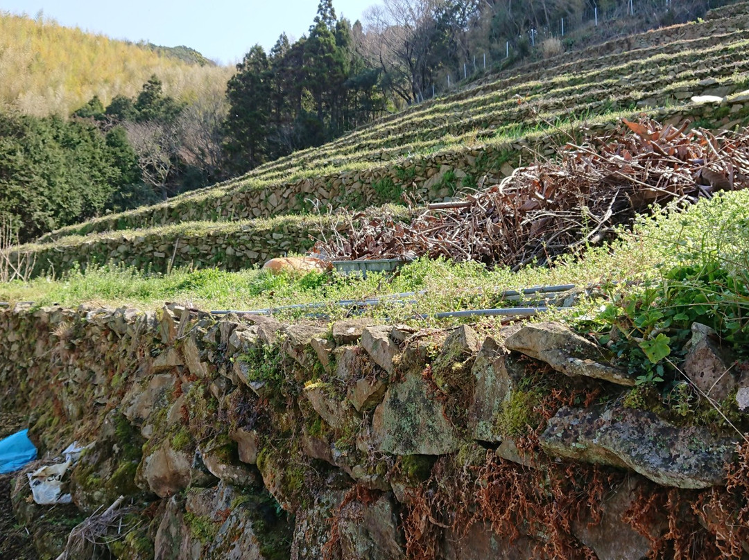 Odo Coast-大月町必去景点