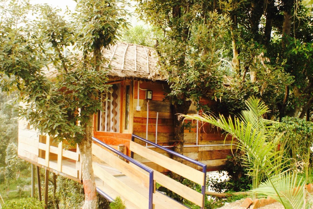 Nainital Homes and Resort-酒店景观