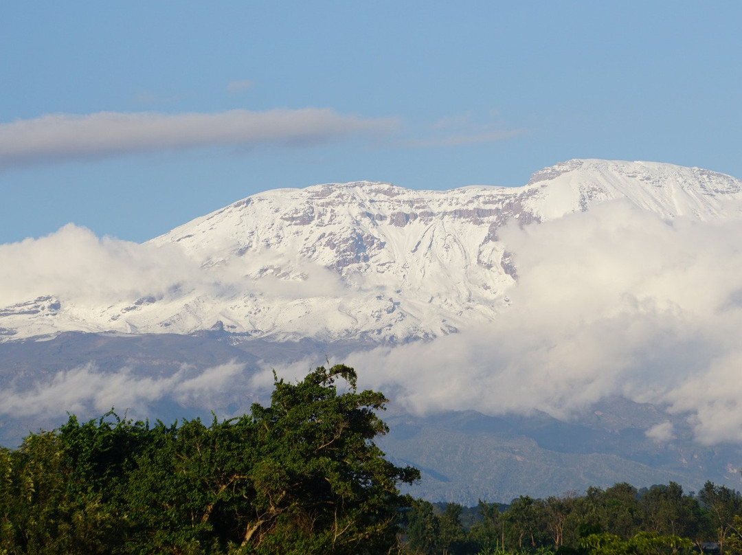 House of Westkili主图