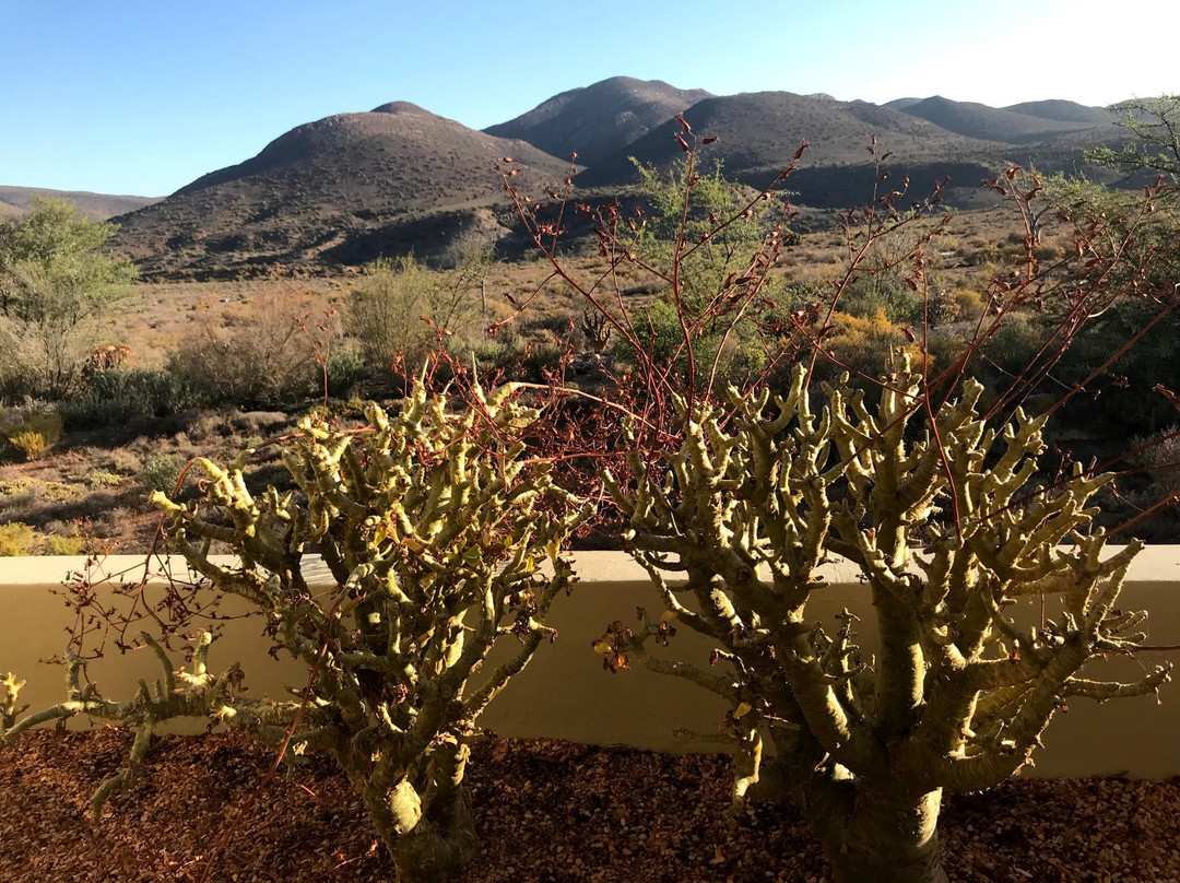 Sanbona Wildlife Reserve主图