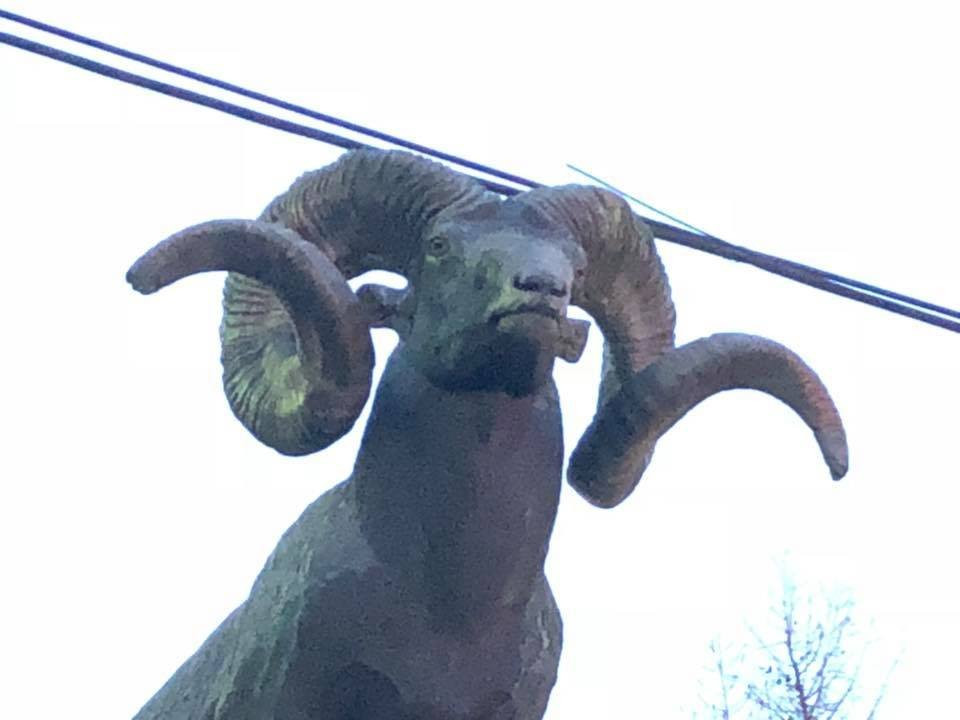 Altai Bighorn Statue-乌兰巴托必去景点