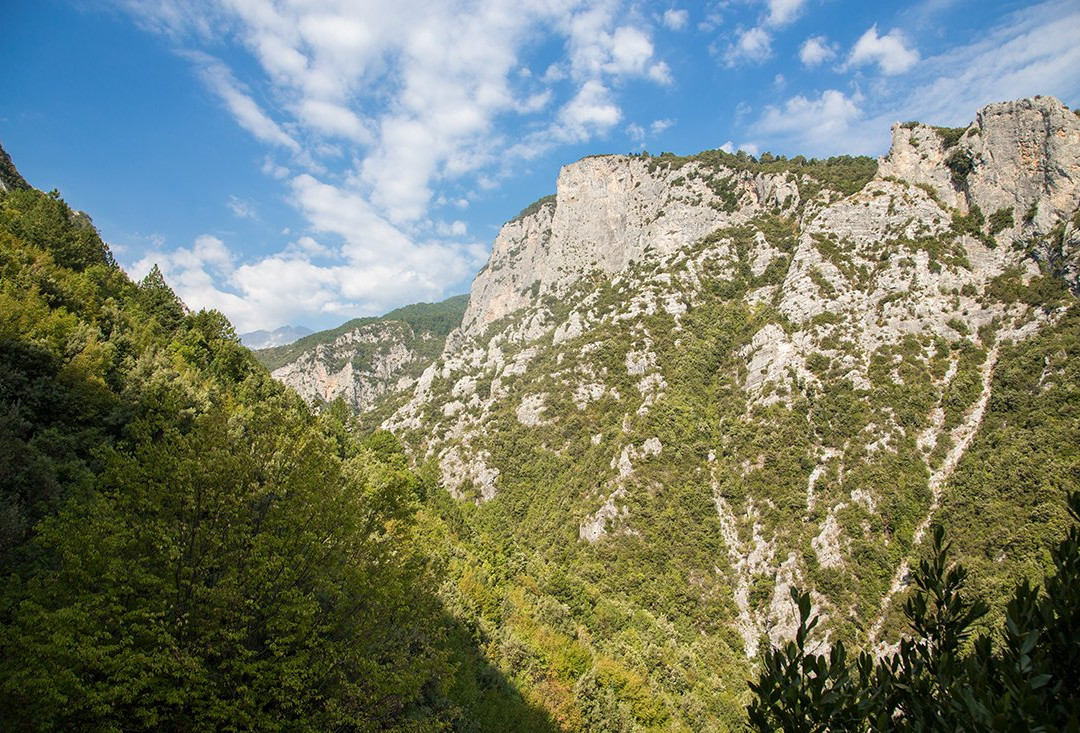 Olympus National Park景点图片