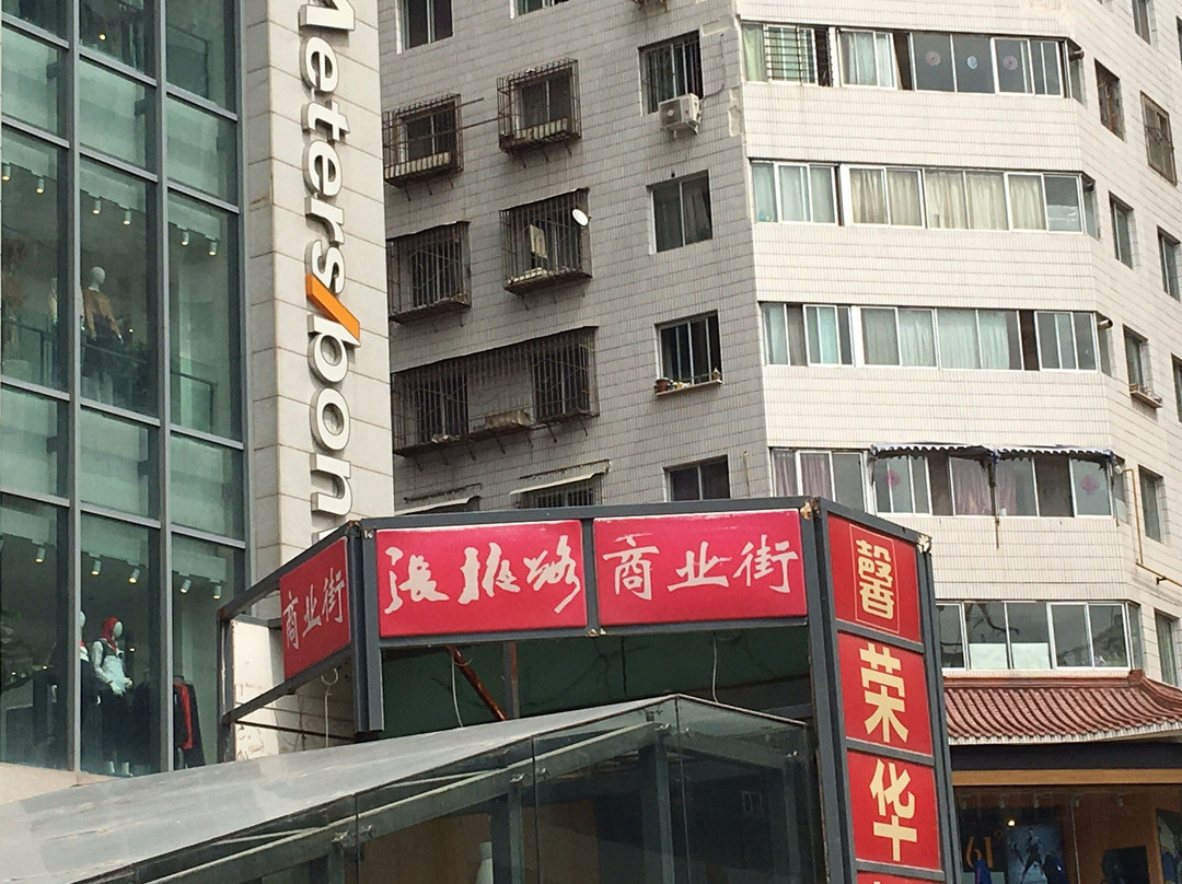 张掖路商业街景点图片