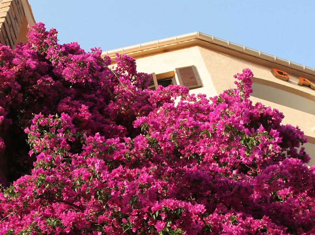 卡波杜奥图酒店